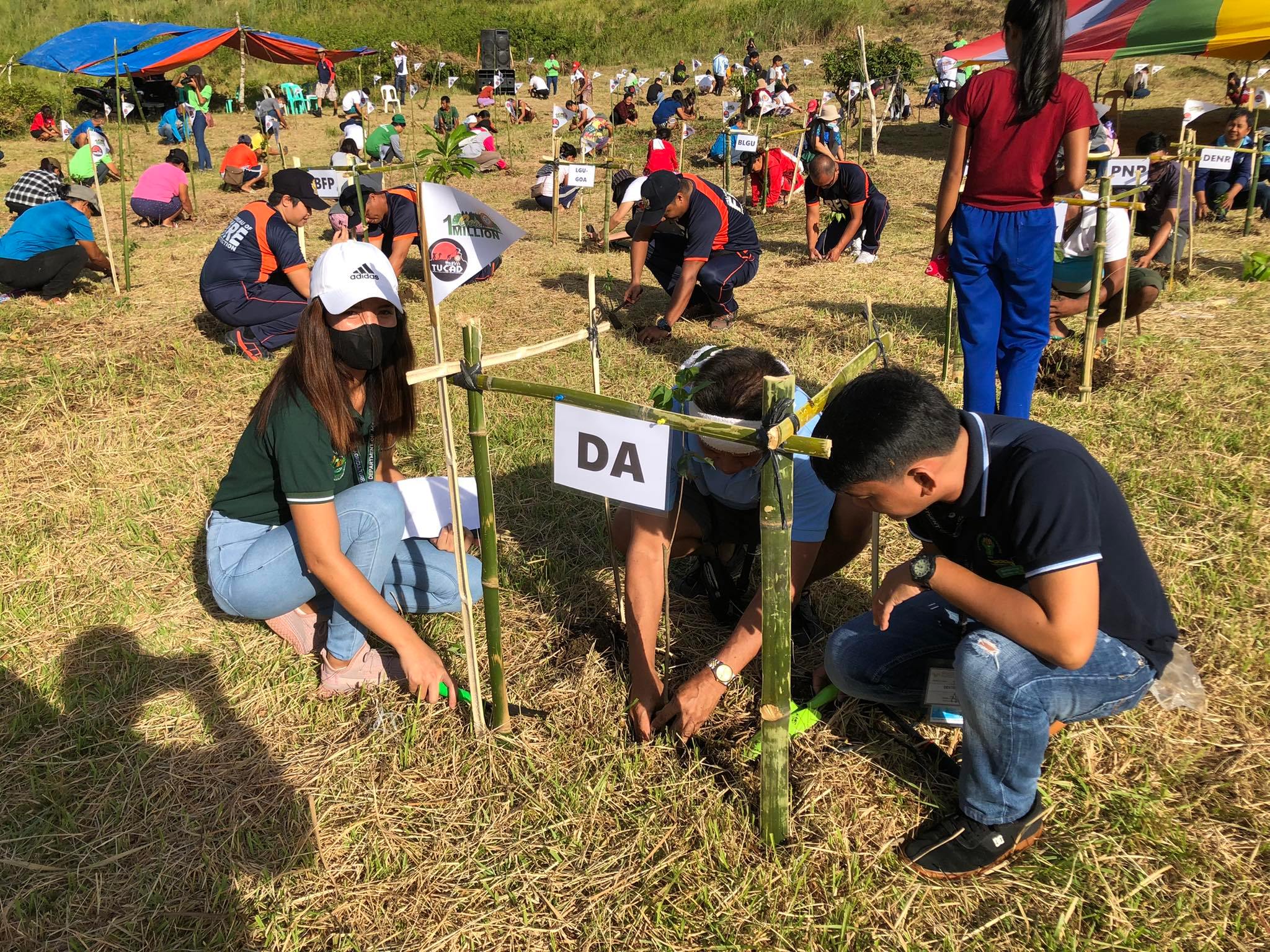 Teams from several agencies planting in marked plots, each plot flagged with the name of the office working it